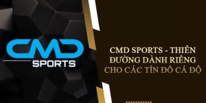 CMD Sports 79king