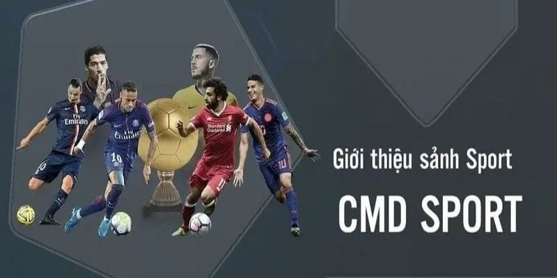 Giới thiệu sơ lược về sảnh cá cược CMD Sports 79King